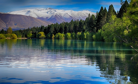 Lake Ruataniwha - lake, new zealand, forest, beautiful, snowy peaks, mountains