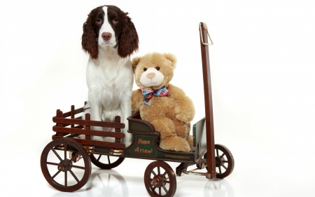 Dog and teddy bear - animal, pretty, cute, animals, beautiful, sweet, puppy, puppys, dogs, lovely, dog