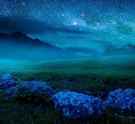 Blue under the stars - nice, beauiful, night, colors, flowers