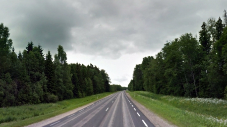 Random Road 1 - sky, travel, road, white, forest, beautiful, clouds, random, green, grass, gray