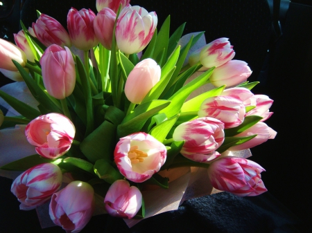 * Tulips * - nature, bouquet, flowers, flower