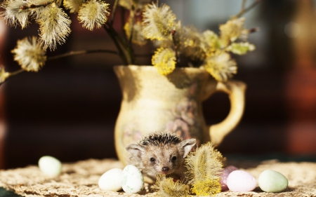 ♥ - vase, yellow, hedgehog, spring, willow, flower, easter, animal, egg