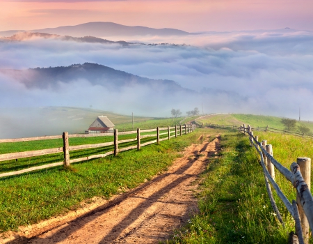 ♥Landscape♥ - countryside, fog, road, grass, field