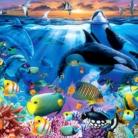 â˜…Oceanic SeaLifeâ˜…