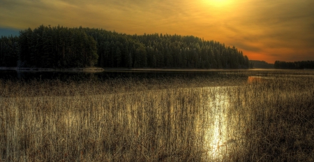 * Sunset * - lake, trees, nature, sunset