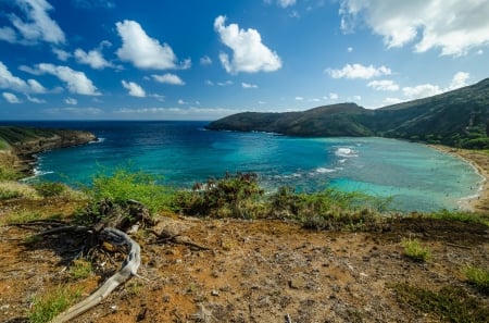 * Sea * - sky, beach, nture, sea, blue