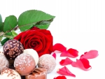 Chocolate with Rose