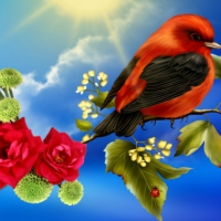 ~*~ Spring Birds ~*~