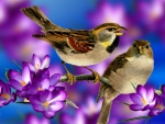 ~*~ Spring Birds ~*~