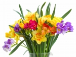 ♥Spring Flowers♥