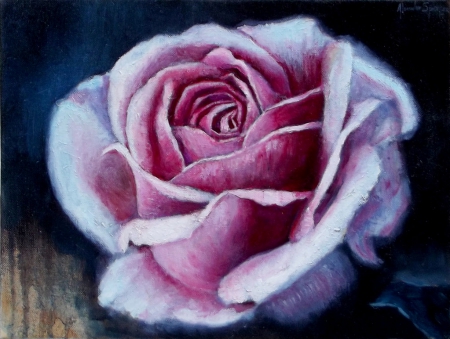 Pink Rose