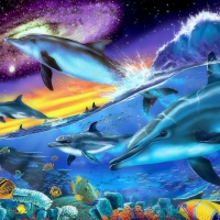 â˜…Splendid Dolphinsâ˜…