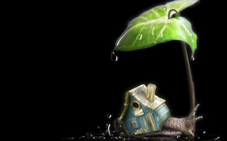 â™¥ - water drops, rain, funny, black, fantasy, abstract, snail, green, house