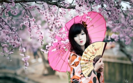 â™¥ - woman, fan, girl, asian, spring, model, geisha, cherry blossom, sakura, umbrella, pink