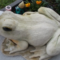 MY FROG GARDEN ORNAMENT