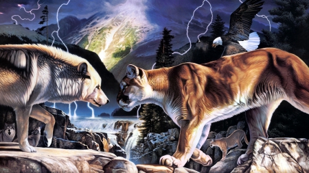 Predators - wolf, nature, eagle, flashlights, artwork, cougar