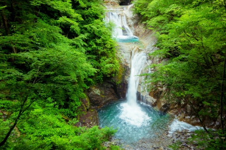 Waterfalls Into The Woods - waterfalls, trees, beautiful, green, creek, ponds, forest