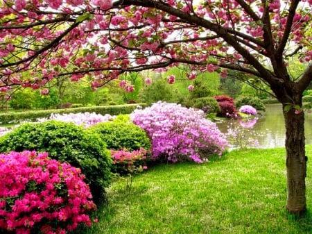 Spring scent - freshness, trees, fragrance, stream, spring, creek, pretty, blossoms, river, scent, grass, garden, blooming, lake, park, bushes, beautiful