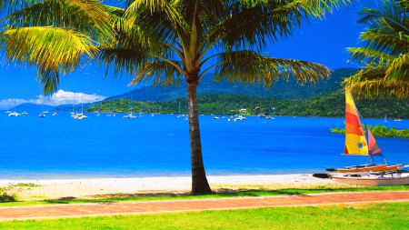 Tropical beach - relax, sunny, summer, beach, island, mountain, shore, view, exotic, paradise, sky, breeze, palms, beautiful, vacation, sea, ocean, rest, tropics, colorful, tropical, sailboat, sands