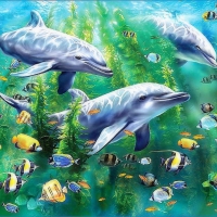 â˜…Dolphin Trioâ˜…