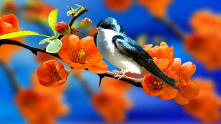 ~*~ Spring Time ~*~ - blue sky, flowers, bird, spring