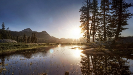 Yosemite - lake, forest, yosemite, cool, fun, nature, mountain