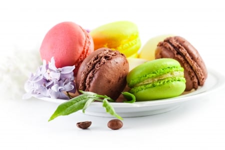 ♥Macarons♥ - cookies, colorful, dessert, macaron