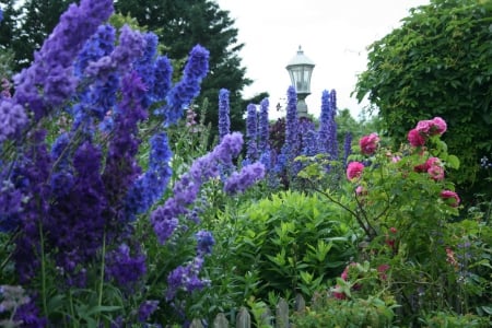 Garden and flowers - florile, verii, culorile, gradina