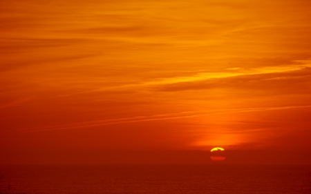 Sunset - orange, summer, sunset, sun