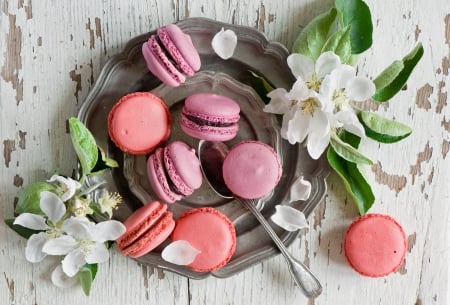 * Macaroons * - flowers, sweets, food, cookies