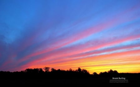 Painted sky II. - sky, landscape, sundown, photography, colorful, wallpaper, sunset, hd, abstract, colours, forest, clouds, dawn, dusk, sunrise, scene