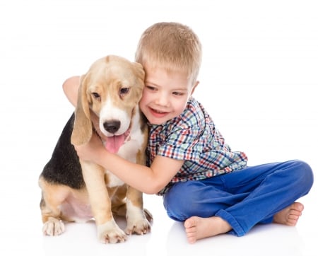 * Dog and child * - animal, chaild, animals, boy