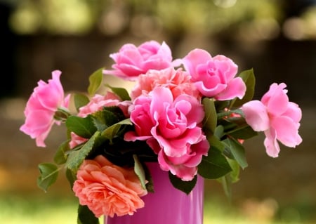 Roses - roses, pink, flowers, rose, vase, flower