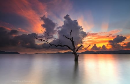 * Sunset * - sky, lake, nature, sunset