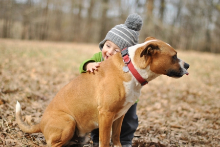 * - baby, nimals, dog, animal, dogs