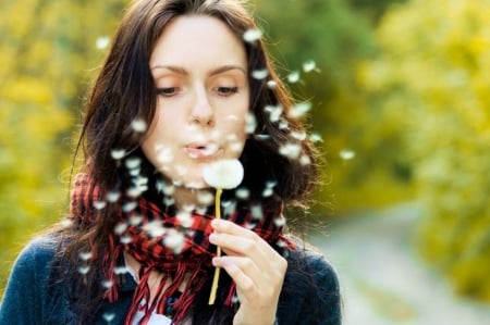 ~✿~ - dandelion, blowing, model, soft