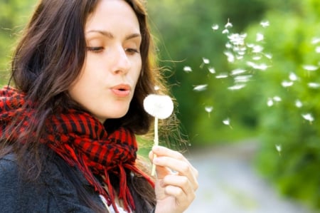 ~✿~ - dandelion, blowing, lady, soft