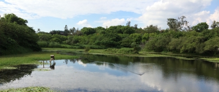 Chengcing Lake Taiwan Kaohsiung - kaohsiung, lake, taiwan, peace