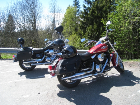 Bikes - trees, bikes, spring, colors, sky