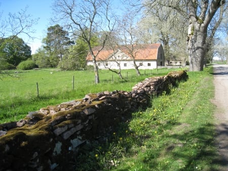 Swedish Countryside - sky, trees, countryside, road, spring, nature, wall, house, stones, grass