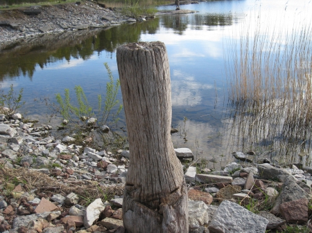 By the lake - wood, lake, phole, water, stones, spring, rocks