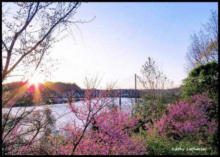 Spring on the Ohio River - valley, ohio, trees, water, blooms, spring, country, nature, blossoms, river, flowers, bridge