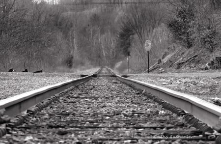 Train Tracks - ath, train, trail, nature, country