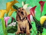 DOG WITH LILIES