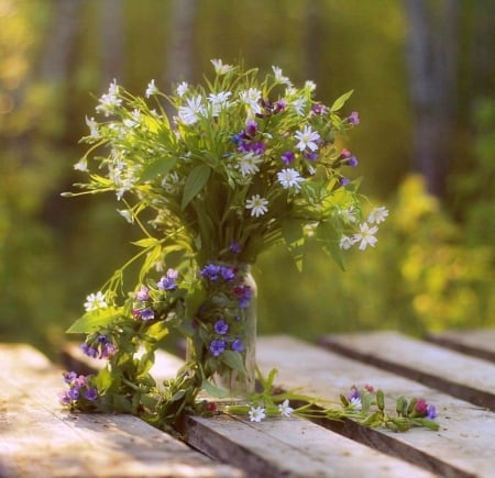 Still life - flowers, nature, abstract, soft