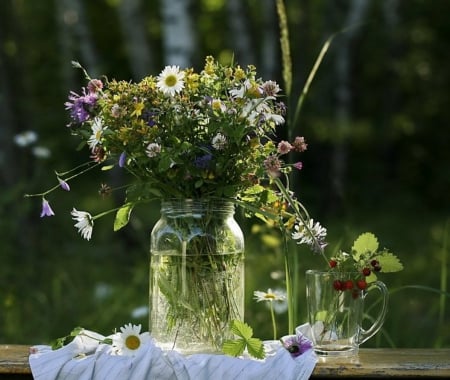 Still life - nature, still life, Flowers, soft