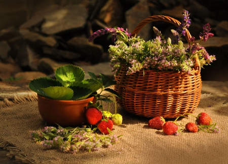 Still life - flowers, still life, nature, soft