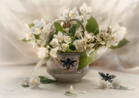 Still life - flowers, lovely, delicate, still life