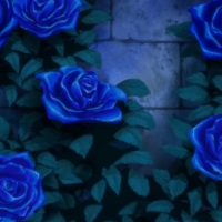 BP: Blue Rose