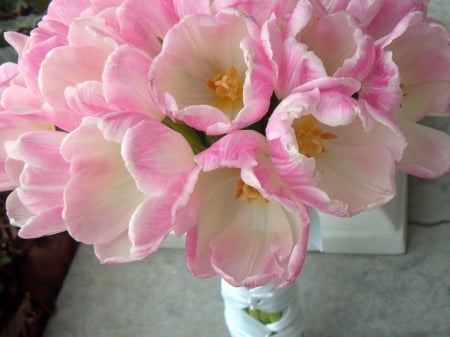 Wedding Bouquet - wedding, tulips, bouquet, pink